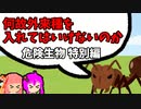 第418位：【VOICEROID解説】ゆかり先輩と見る危険生物【特別編②】