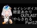 【Seirenvoice実況】#12　あかり、ホラー【OUTLAST実況】