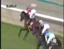 2008年上半期活躍馬