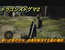 ドラゴンズドグマ２　救いの家の少女　追毒を解消する薬の場所　クエスト攻略　＃４３　【Dragon's Dogma2】
