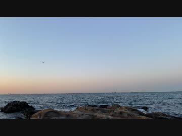 東京湾海上を飛行するヘリコプター