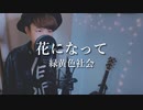 【男性キー（-5）】花になって - Be a flower - /緑黄色社会 （薬屋のひとりごと / The Apothecary Diaries）主題歌【歌ってみた】歌詞つき