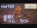 【独り言実況】ゲーム内方向音痴が喘ぐ？モンハンワールド【Part30】
