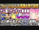 ドラゴンボールのフュージョンをした聞いたことがないキャラを見て爆笑するルーナ姫【姫森ルーナ/ホロライブ切り抜き】