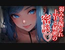 【ヤンデレASMR】ヤンデレ上官との机の下で密談…【メンヘラ・耳なめ・立体音響・男性向けシチュボ】