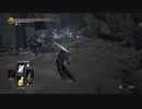 【ダークソウル3】毒沼っぽいただの沼【28-5回目】