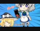 魔理沙は後ろの霊夢にけられているようです。
