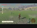 ゼルダの伝説　ブレス オブ ザ ワイルド　実況プレイPart228