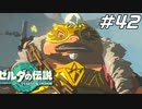 【ティアキン】ユン坊大学デビューした？ ゼルダの伝説 ティアーズオブザキングダム Part42【ゲーム実況】