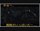 【PS4版 DARK SOULSⅡ】ここまでノーデスで来れたんだから…。ねぇ…、空気読んでくれるよね…？　蜘蛛さんたち。【前編】