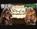 【VoiceOfCardsドラゴンの島】全てがカードで出来ているTRPG風味の世界を冒険してみるﾃｽﾄ【#12】