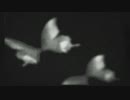 想いが見せる刺青の悪夢「零～刺青の聲～」実況プレイpart21
