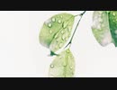 【睡眠用】ダイソー：サウンドリラクゼーションシリーズ『ヒーリング Vol.8』
