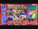 DQW 上級職までメタルでレベル爆上げ！初心者は必須！？ぎんがのつるぎを求めてWALKフェス`24記念復刻ガチャ！ドラクエウォーク 無課金 攻略 実況プレイ 冒険の書002【メイルス】