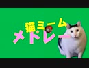 猫ミームメドレー~The Medley of Cat Meme