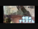 赤ちゃんなまず飼育日記 285日目