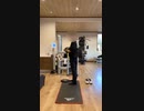 video-processed 2