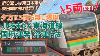 《JR東&東海》夕方に5両グリーン無し 国府津発沼津行&沼津発熱海行に乗ってみた《ダイヤ改正2024》【効果音訂正版】