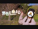 【ぬい】君色に染まる 踊ってみた