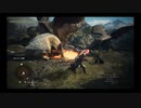ドラゴンズドグマ2 FOV(視野角)改善mod入れて大型戦