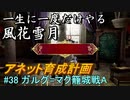 新しい解釈でやる風花雪月＃38