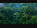 Aerial Video Tour of the Forest Park