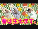 【大川ID】久嬢由起子の肛筋エクササイズ