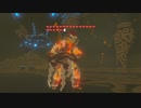 ゼルダの伝説　ブレス オブ ザ ワイルド　実況プレイPart229