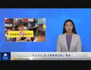 ロンドン 反「香港第23条」集会
