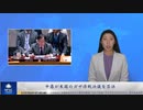 中露が米国のガザ停戦決議を否決