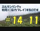 #14-11 エルデンリングを 初見で【協力プレイ】するのです
