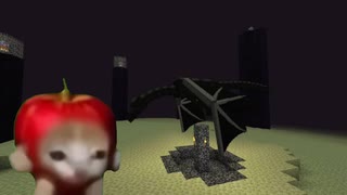 エンドラを倒しに来たりんご猫