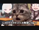 第58位：【猫ミーム】友達出来るかな？