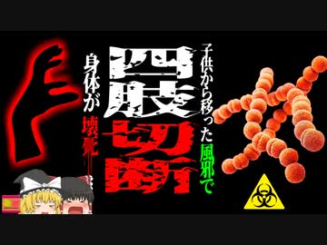 【2017年】「風邪だと思った」子供の風邪が原因で手足が真っ黒になり 切断を余儀なくされた父『劇症型溶血性レンサ球菌感染症』【ゆっくり解説】