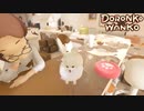 【DORONKO WANKO】ポメラニアンに家をめちゃくちゃにされるゲーム