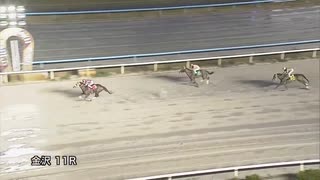 2024年3月26日金沢競馬11R ポイントで馬券を買える！楽天競馬特別(A1-一組) フェイマスダンディ