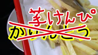 芋けんぴ【思い出の最奥料理祭】