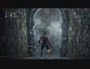 Bloodborne　カンストヘムウィックの魔女　初期レベル4 防具無し　ノーダメ