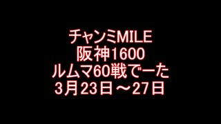 チャンミMILE阪神1600ルムマ60戦データ