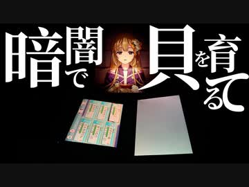 暗闇で貝を育てる　〜ウミウシがお好きでしょ〜