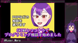 【宣伝】SKIMAとココナラでWebサイトやサーバーの相談受付を始めました