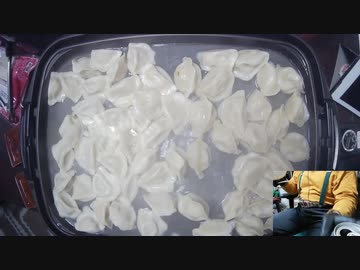 【忙しい人向けダイジェスト】【ドカ食い気絶部】業務スーパーの全種類？の餃子を全て焼いて一気に喰い切るのだ！【ずんだもんオジサンの２１６回目の配信】
