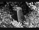【初音ミク】生きていてごめんなさい