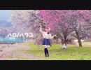【咲倉ゆり】ハロ／ハワユ  【踊ってみた】