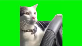ゴミおきばー