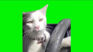 ごみおきばー２