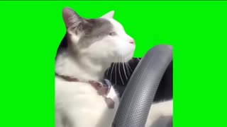 ゴミおきばー３