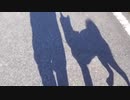 シルエットダンス