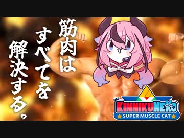 【キン肉ねこ】ヒメ筋肉に目覚めたわ【鳴花生誕の宴2024】