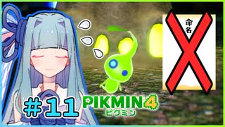 ピクミンだって名前が欲しいっ！ #11【PIKMIN4】